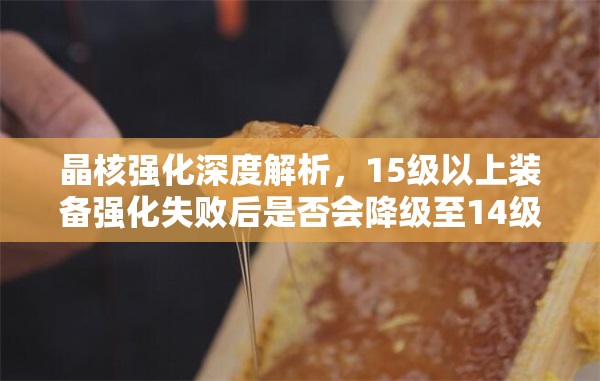 晶核強(qiáng)化深度解析，15級(jí)以上裝備強(qiáng)化失敗后是否會(huì)降級(jí)至14級(jí)真相揭秘