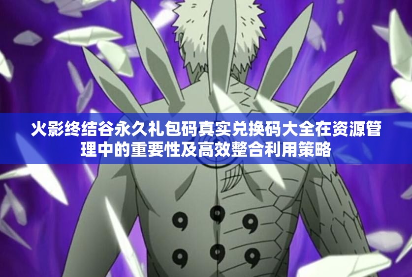 火影終結(jié)谷永久禮包碼真實兌換碼大全在資源管理中的重要性及高效整合利用策略