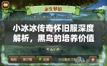 小冰冰傳奇懷舊服深度解析，黑鳥的培養(yǎng)價(jià)值與最佳陣容搭配策略