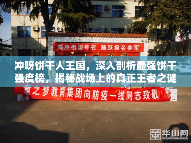 沖呀餅干人王國(guó)，深入剖析最強(qiáng)餅干強(qiáng)度榜，揭秘戰(zhàn)場(chǎng)上的真正王者之謎