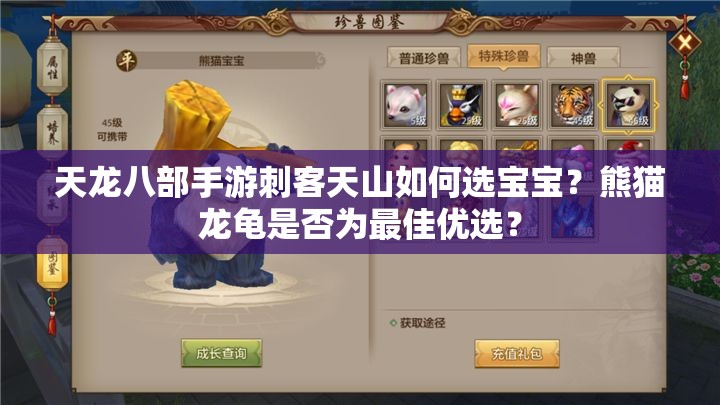 天龍八部手游刺客天山如何選寶寶？熊貓龍龜是否為最佳優(yōu)選？
