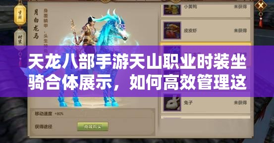 天龍八部手游天山職業(yè)時裝坐騎合體展示，如何高效管理這些炫酷資源？