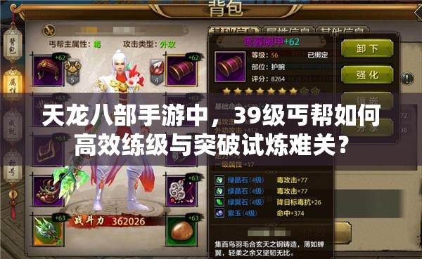 天龍八部手游中，39級丐幫如何高效練級與突破試煉難關(guān)？