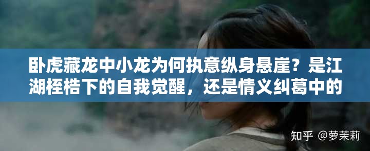 臥虎藏龍中小龍為何執(zhí)意縱身懸崖？是江湖桎梏下的自我覺醒，還是情義糾葛中的終極抉擇？