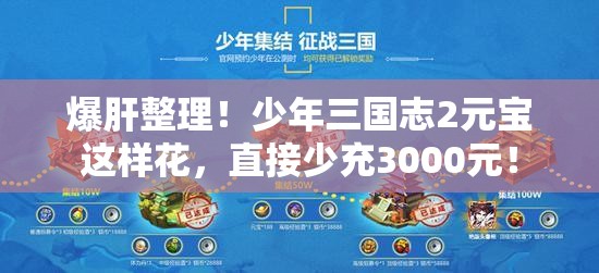 爆肝整理！少年三國(guó)志2元寶這樣花，直接少充3000元！