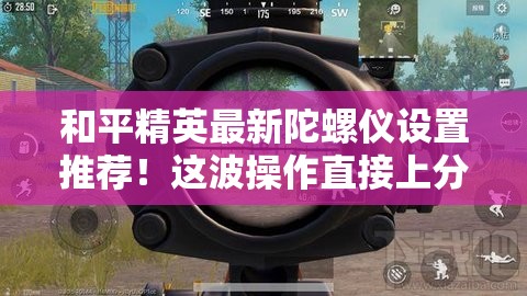 和平精英最新陀螺儀設(shè)置推薦！這波操作直接上分如喝水